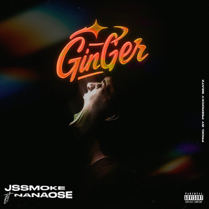 GINGER (Explicit)