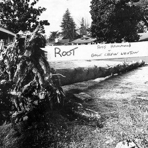 Root