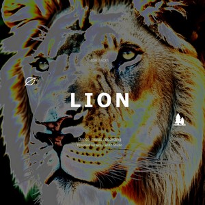 Lion (EDM)