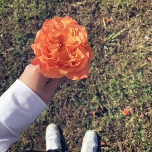 Lessons learned (Explicit)