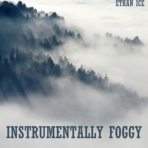 Instrumentally Foggy