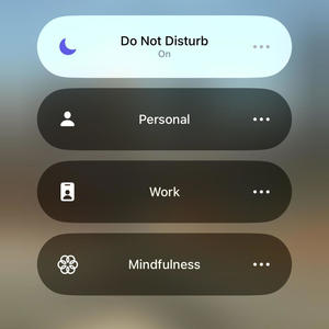 DND (feat. Lifewithnuel & Srgttentoes) (Explicit)