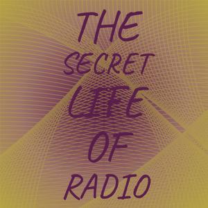 The Secret Life Of Radio