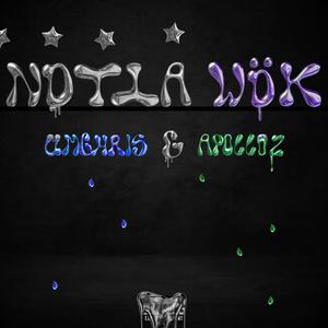 NottaWöK (feat. ApolloZ) (Explicit)