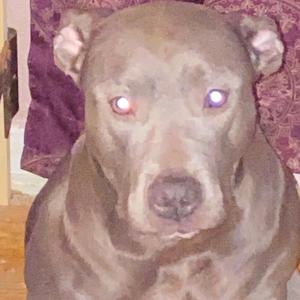 TDA (feat. 0ver3ven, Marm7ney & Qamski) (Explicit)