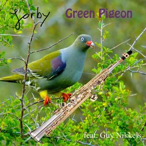 Green Pigeon (feat. Guy Nikkels)
