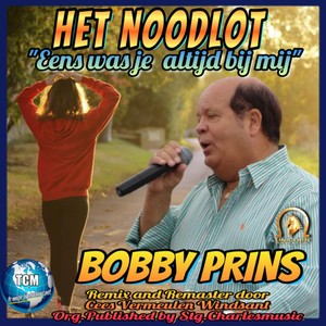 Het Noodlot (2022 Remastered Remix)