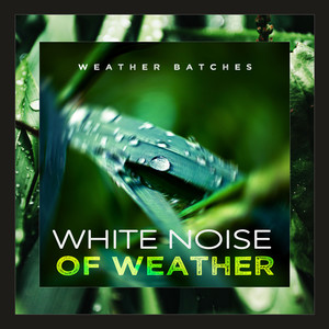 White Noise of Weather