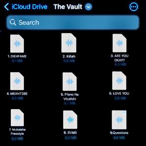 THE VAULT (Explicit)