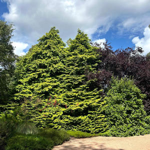 Leopard Killer Print (Explicit)