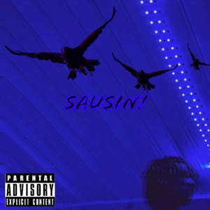 Sausin (Explicit)