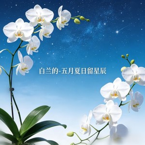 蚂蚁蚂蚁 (雷鬼版)