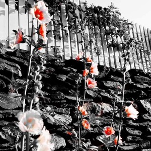 What Love Could Do(feat. Knokka) (Explicit)