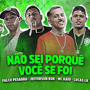 Não Sei Porquê Você Se Foi(feat. Mc Kaio)