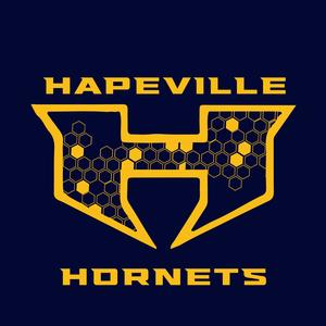 Hapeville Sting Team Hornets