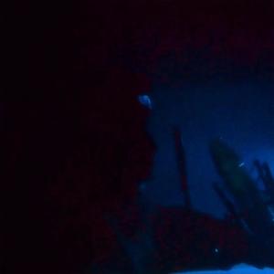 let you go (Explicit)