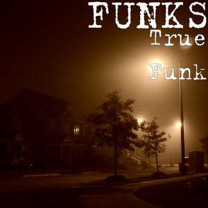 True Funk (Explicit)