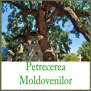 Petrecerea Moldovenilor (Explicit)