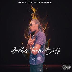 Gallis From Birth (Explicit)