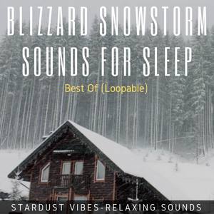 Blizzard & Howling Wind Sounds in the Forest