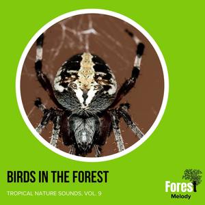 Green Woodpecker Chirping