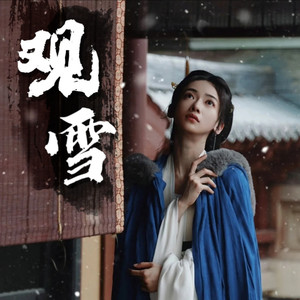观雪封面