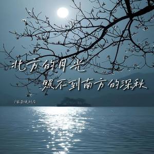 北方的月光照不到南方的深秋