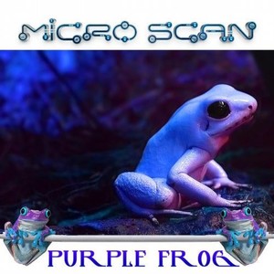 Purple Frog