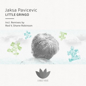 Little Gringo (Shane Robinson Remix)