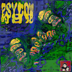 Psycow的日记