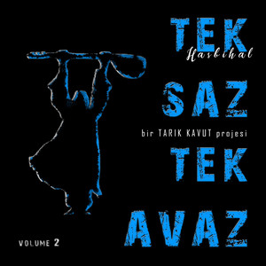 Tek Saz Tek Avaz, Vol. 2 (Hasbihal)