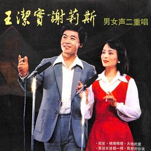 王洁实 - 嘀哩嘀哩