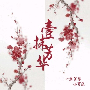 一抹芳华
