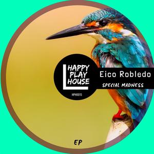 Special Madness (Original Mix|Explicit)