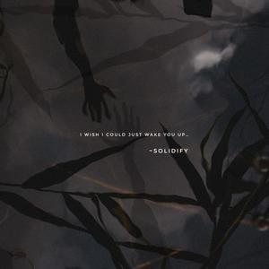 Solidify