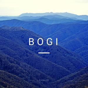 BOGI (Explicit)