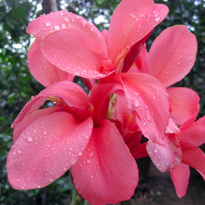 Strength Of The Art (Original)