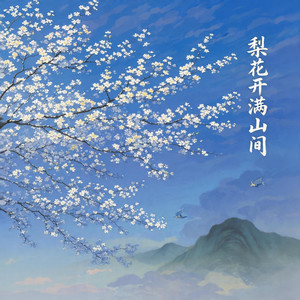 梨花开满山间