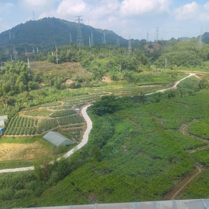 世界巨大，我以渺小爱它