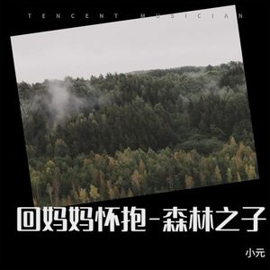 回妈妈怀抱-森林之子