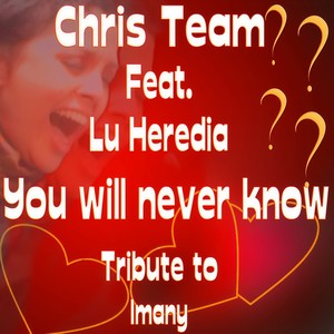 You Will Never Know (Originally Performed By Imany|Dance Remix Karaoke Version)