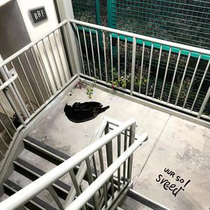 ur so sweet (Explicit)