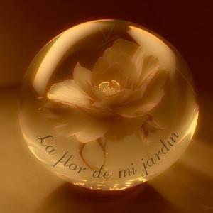 La flor de mi jardín (Explicit)