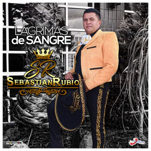 Vayas Sorpresa (Mariachi)