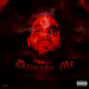 damage me (Explicit)