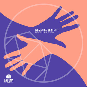 Never Lose Sight (Original Mix)