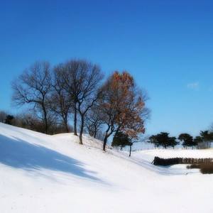 匆匆那年 (钢琴改编版)