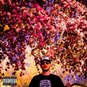 Baseball Bat, Vol. 1 (Explicit)