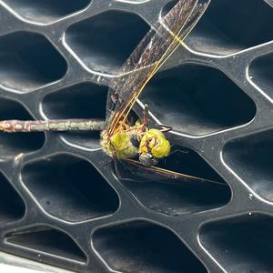 LOGIC GATE CONTROL THEORY (Explicit)