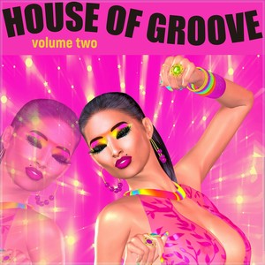 House of Groove, Volume 2